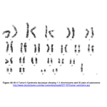 Biology Chapter 20 - Chromosome Structure and Function